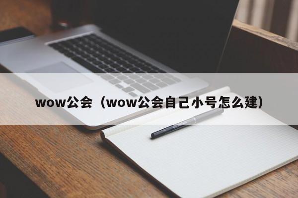 wow公会（wow公会自己小号怎么建）