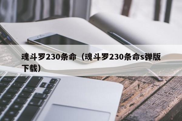 魂斗罗230条命（魂斗罗230条命s弹版下载）